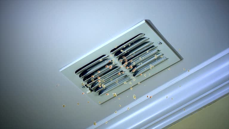 Best HVAC Duct Inspection Services  in Shaker Heights, OH