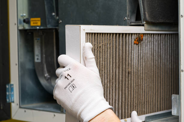 Best Air Vent Cleaning Services  in Shaker Heights, OH