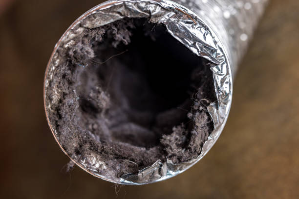 Best HVAC Air Duct Cleaning  in Shaker Heights, OH